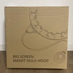 スマートフラフープ 組み立て式 エクササイズ