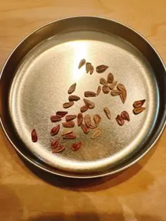 pla様 リクエスト 2点 まとめ商品