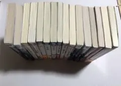 BL 小説 まとめ売り