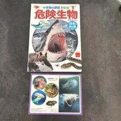 ハッピーセット 小学館の図鑑NEO 岩石・鉱物・化石 深海生物 - メルカリ