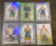 Item thumbnail for item fbd86e42-b81f-46cc-a115-378b8062b9e5