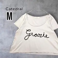 Item thumbnail for item c48ac5c4-5c9b-4cb7-a4d8-31c20f43d8e7