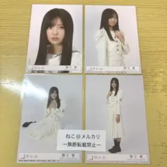 ハーメルンのバイオリン様 リクエスト 3点 まとめ商品