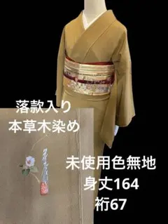 Item thumbnail for item 50352a25-8634-4083-b14b-e6e6e99702f9