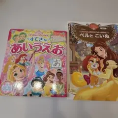 ディズニープリンセス 絵本２冊セット