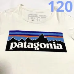 patagonia ホワイト Tシャツ S(7-8) 120〜130
