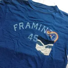 45R 再びフラミンゴ刺繍の908 45星Tシャツ　インディゴのサムネイル