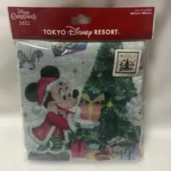 Item thumbnail for item 886c4e3f-4554-4166-8022-2fb536960eef