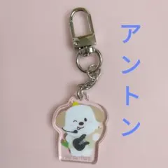 RIIZE アントン 東京ドーム ランダム アクリルキーホルダー