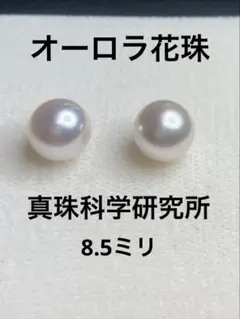 ゆうたん様　あこや真珠　オーロラ花珠　８．５mm PT プラチナピアス