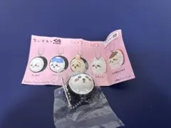 ちいかわ くら寿司 フィギュア ハチワレ