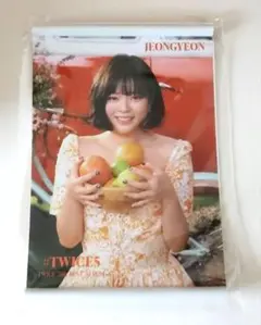TWICE〜ジョンヨン タペストリー風ポスター #TWICE5