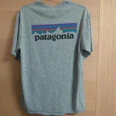 ※限定SALE【美品】パタゴニア Tシャツ キャプリーンクールデイリー メンズS
