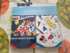 東京ディズニーリゾート ベビー スタイ 2枚セット