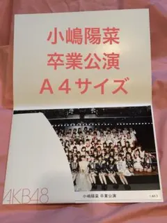2026年最新】小嶋陽菜生写真の人気アイテム - メルカリ