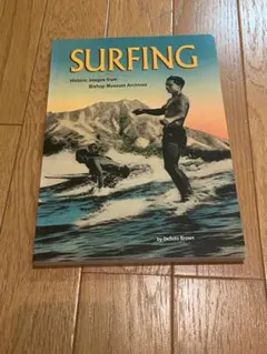 SURFING DeSoto Brown 1975