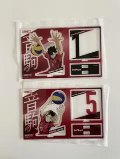 HAIKYU!! 黒尾鉄朗 孤爪研磨 アクリルスタンド