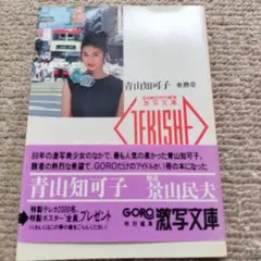 青山知可子 写真集 亜熱帯 GORO激写文庫 篠山紀信 - メルカリ