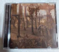 Embodied Torment / Liturgy Of Ritual…