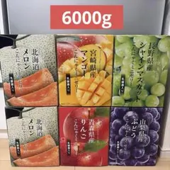 こんにゃくミニゼリー まとめ売り こんにゃくパーク りんご マスカット ぶどうのサムネイル