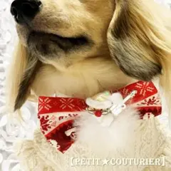 No.5850　ペット用　クリスマス仕様のチョーカー　サンタさん