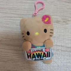 平成レトロ ハワイ 日焼けキティ サンリオ ぬいぐるみ ガングロ ハローキティ サンリオ ハローキティ ハワイ限定 ぬいぐるみ 日焼け ガングロ 平成