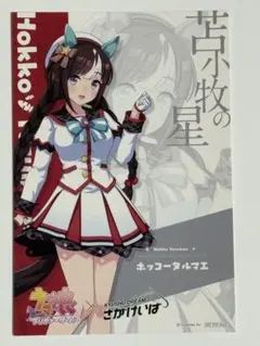 2026年最新】ウマ娘 佐賀競馬の人気アイテム - メルカリ