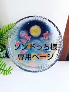 ゾンドっち様専用ページ