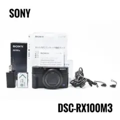 2026年最新】Sony Cyber-shot DSC-RX10の人気アイテム - メルカリ