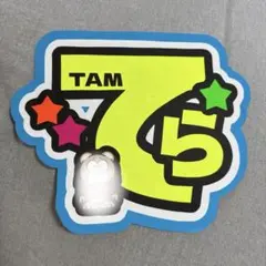 timelesz タイムレス 寺西拓人 名前うちわ うちわ 蛍光 目立つ 可愛い