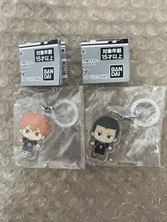 ハイキュー！！　日向翔陽/田中龍之介　ふらっとめじるしアクセサリー　2個セット
