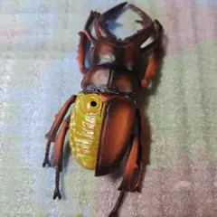 ★昆虫 クワガタ ミニチュア フィギュア