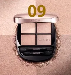 コスメデコルテ　スキンシャドウ デザイニング パレット09