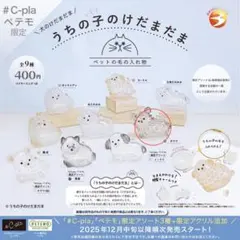 うちの子のけだまだま 犬 チワワ ガチャガチャ