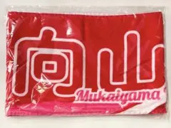 SHOW-WA ぽかぽか コラボグッズ 向山毅 ミニタオル - メルカリ
