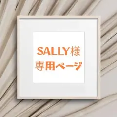 ★SALLY様専用ページ★