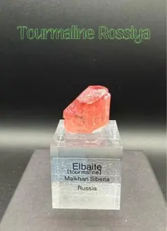 【鉱物標本】専用出品　ツーソン購入品 トルマリン  原石 ブラジル産 トルマリン ブラジル Santa Rosa Mine② 鉱物 標本 原石 - メルカリ