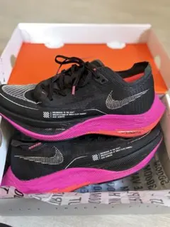 Item thumbnail for item 5fd2bb88-86cd-4640-8ba1-6ffd78910817