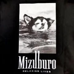 SAUVENIR サウべニア MIZUBURO スウェット フォト 犬 dog