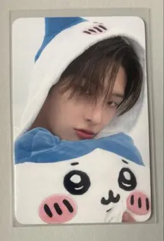 ラス１ATEEZ ミンギ　GOLDENHOUR hellolive ハチワレ