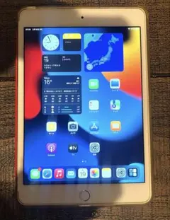 【すぐ使える！】iPad mini 4 cellular 16gb 赤ケース
