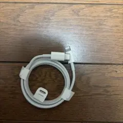 Lightningケーブル　Apple純正品　iPhone iPad 高速充電