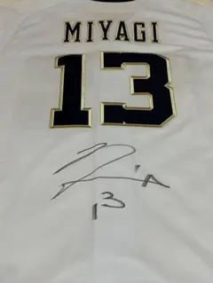 Item thumbnail for item 3d9933ab-2e32-4142-8011-3bec9aef2436