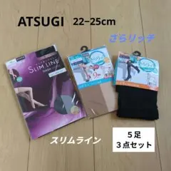 ATSUGI SLIM LINE ストッキング さらリッチ 2足組 3点セット