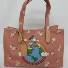 ★未使用品DISNEY X COACH ディズニー創立100周年限定バックパック 27522-213-