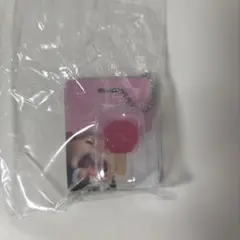 ズートピア ブリスターチャームコレクション　アイスキャンディ