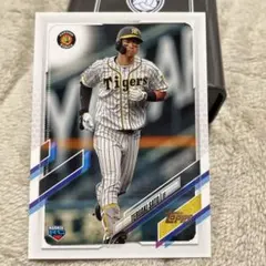 Item thumbnail for item 1205626c-ff82-46a6-8fa6-23affcb2cdff