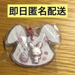 サンリオキャラクターズ パッケージチャームウィッシュミーメル