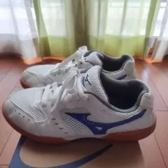 24.0cm Mizuno ミズノ 体育館シューズ ホワイト/ブルー
