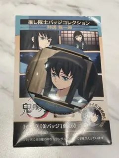 鬼滅の刃 推し隊士バッジコレクション 缶バッジ 時透無一郎